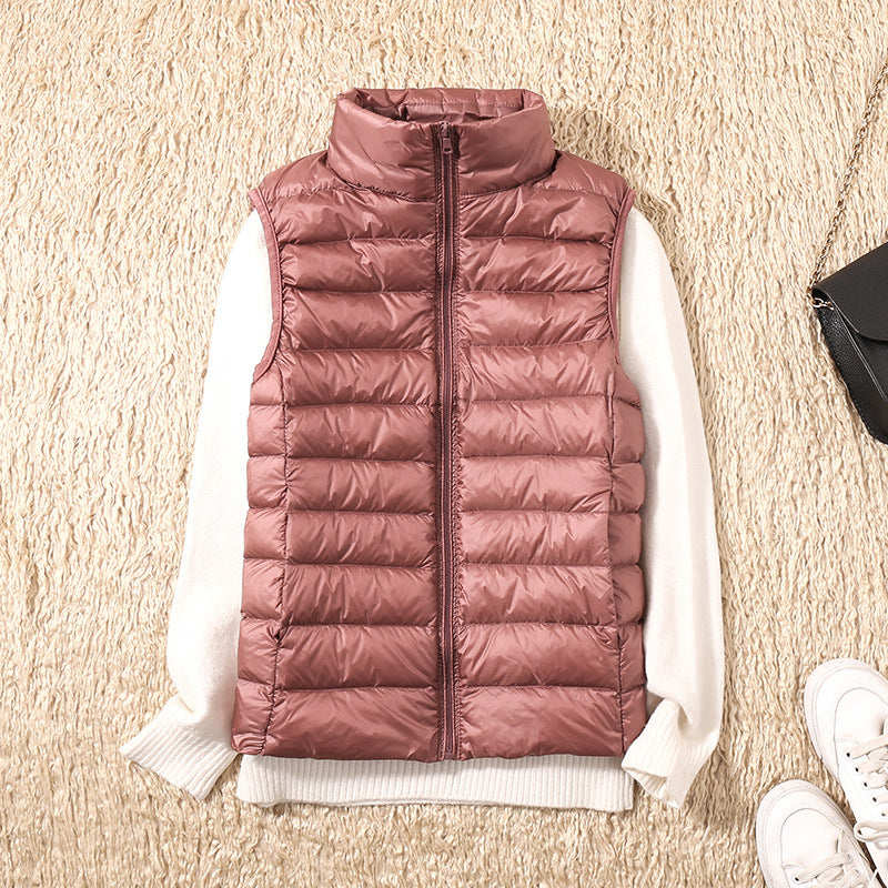 Rosa rossa / 4XL