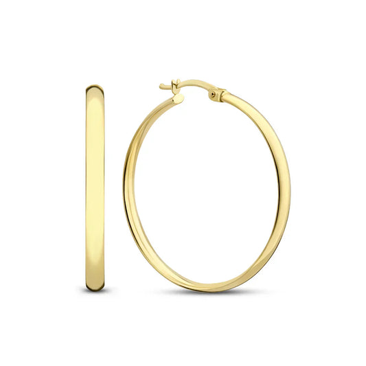 Noa Serane Earrings | Gold 14k